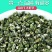 绿茶2025新茶明前春茶贵州高山茶云雾茶浓香耐泡