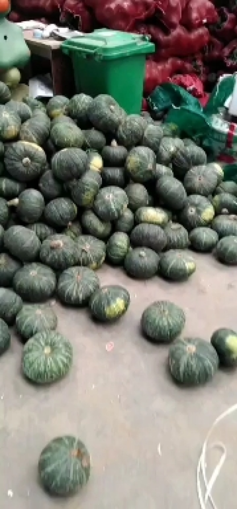 甘肃山丹板栗南瓜个头大，口感好