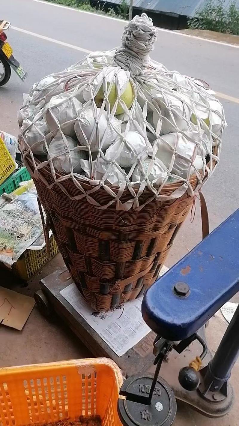 金花梨