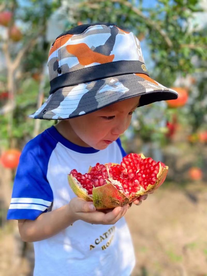 软子石榴