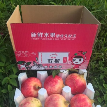 软子石榴