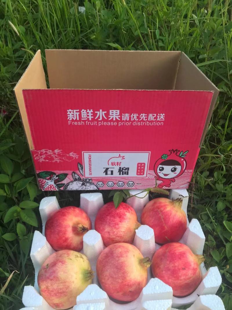 软子石榴