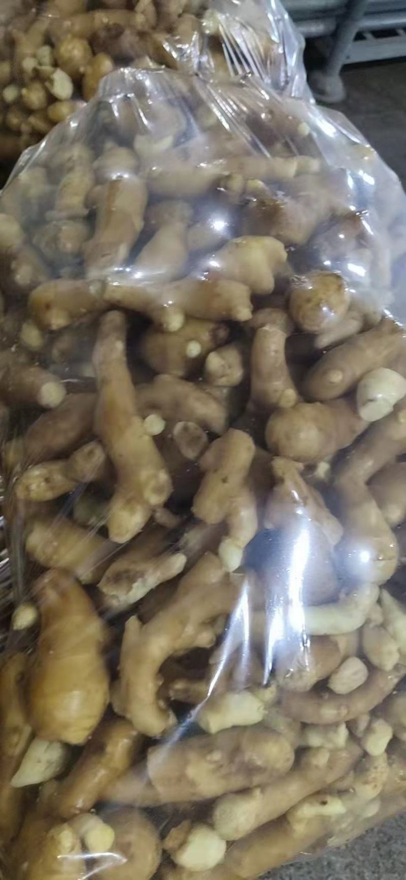三两姜头姜巴黄姜电商货食堂货长期供应各种规格