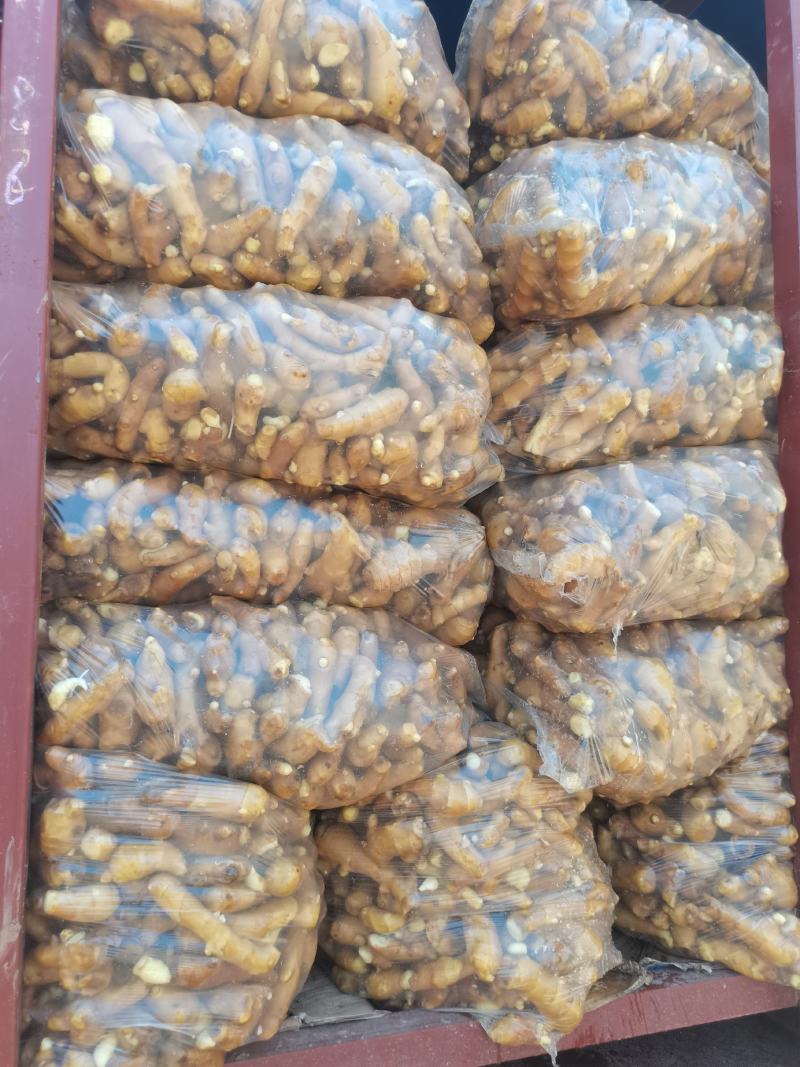 三两姜头姜巴黄姜电商货食堂货长期供应各种规格
