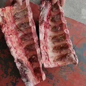纯干多肉牛肋眼骨，需要的老板抓紧联系我吧好货不多