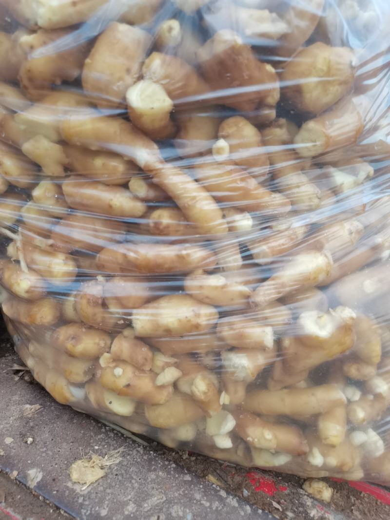 小姜头调料货，食堂姜巴碎姜无腐烂小个头