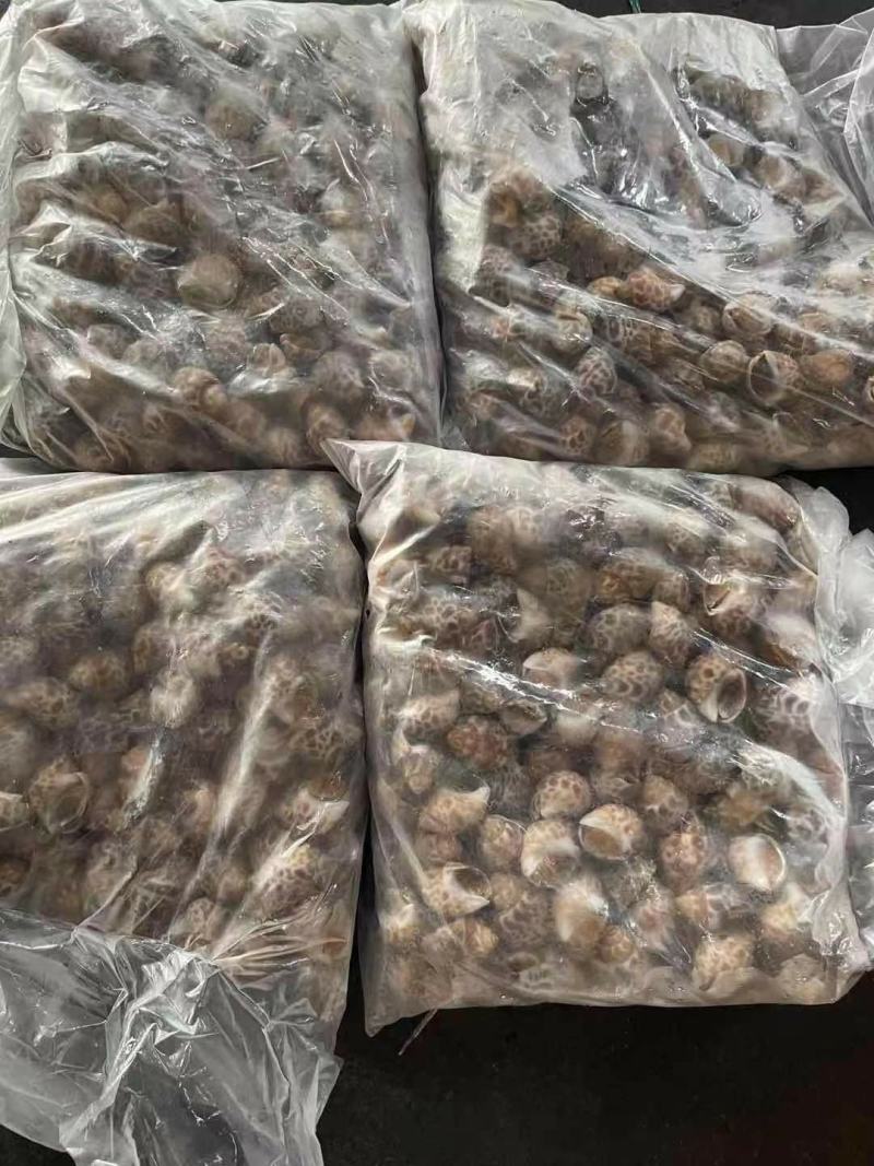 东风螺花螺烧烤店炒螺巴基斯坦。