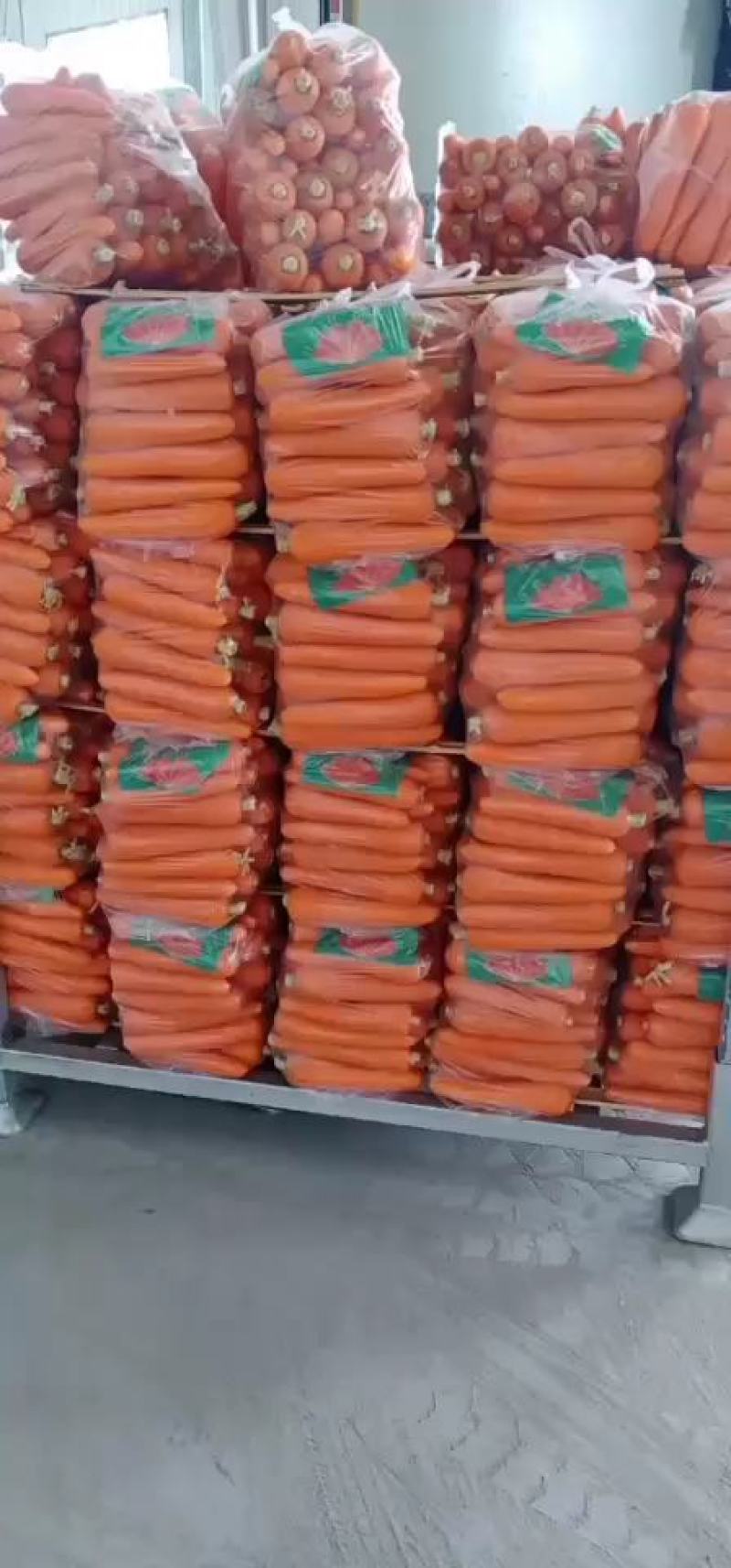 【精品】山东水洗三红萝卜条形好，大量供应电商，超市，美团