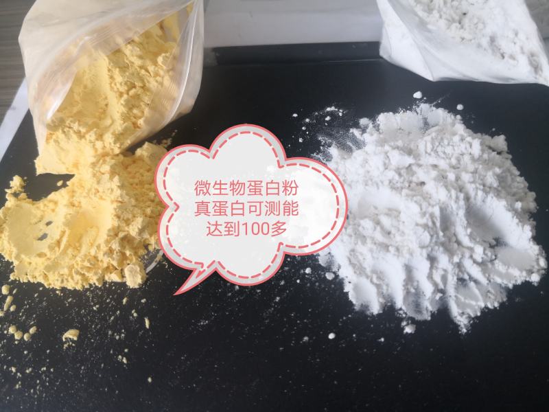 出高品质微生物蛋白粉，粉末状，无异味，无口感