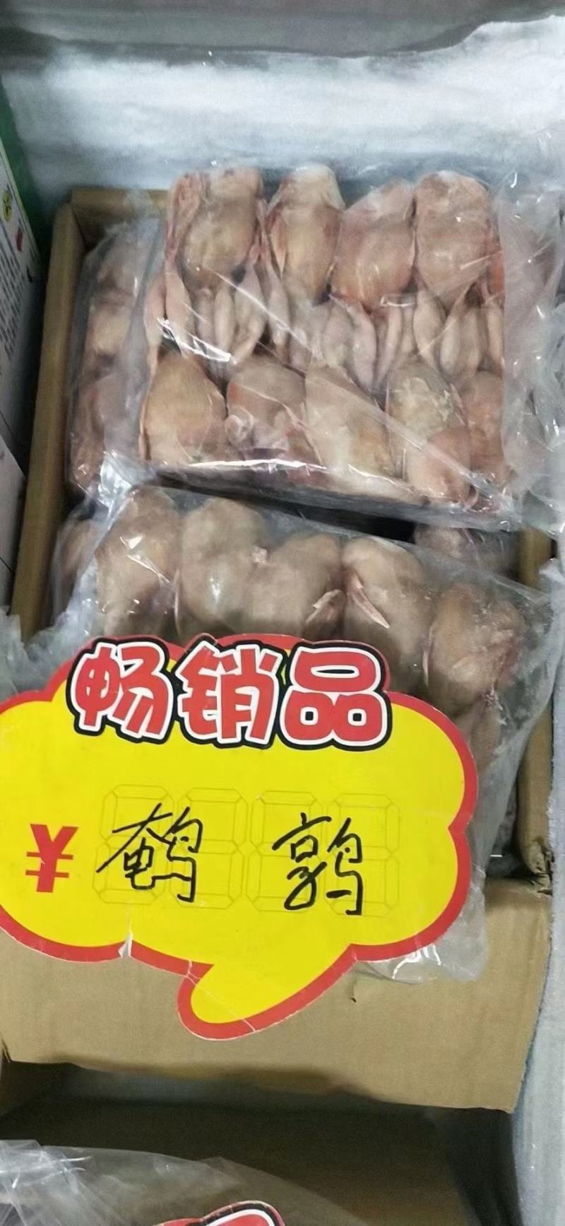 鹌鹑