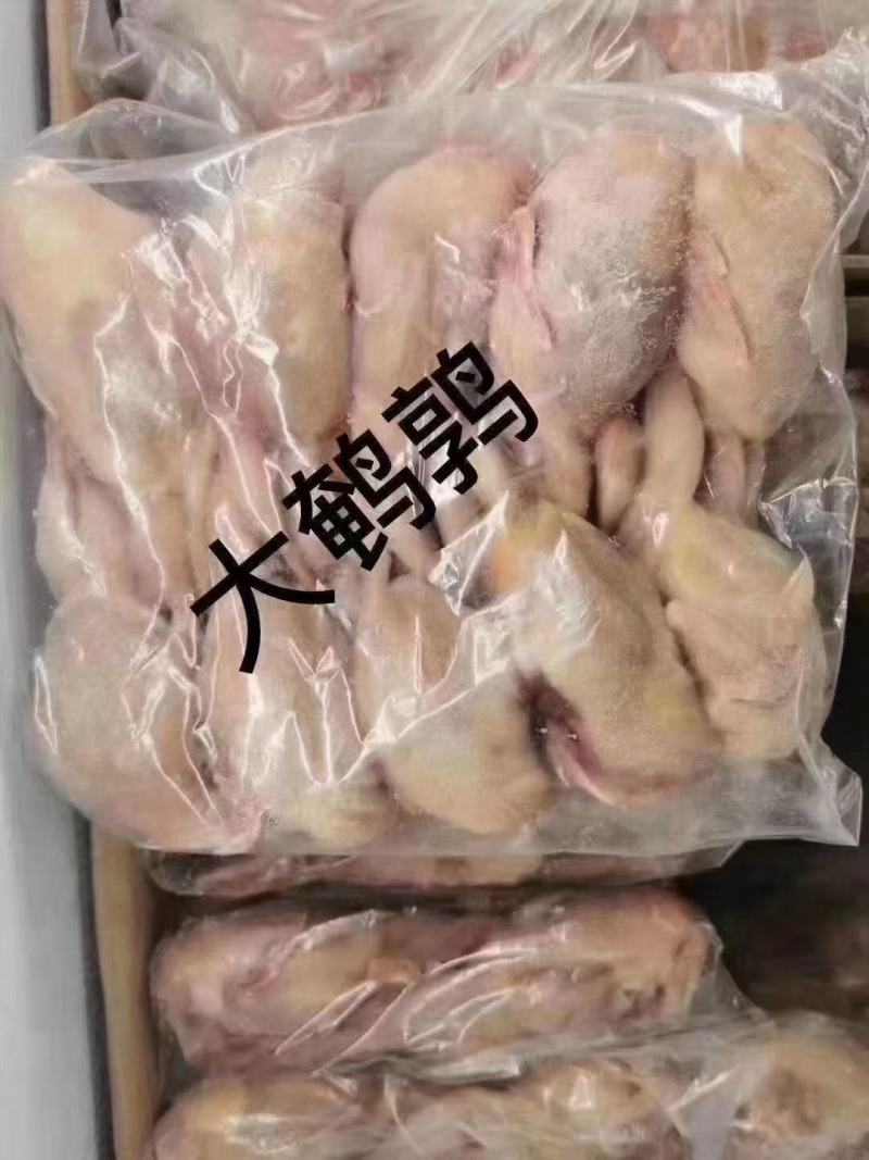 鹌鹑