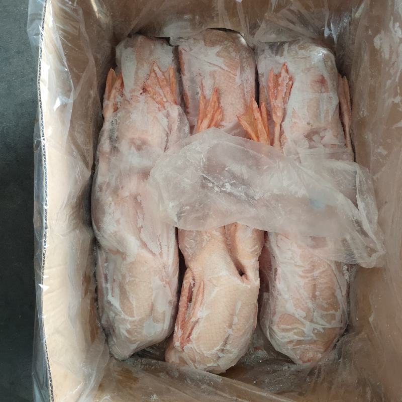 正宗纯老鹅