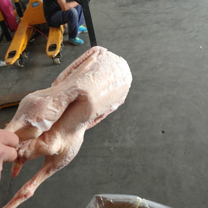 正宗纯老鹅