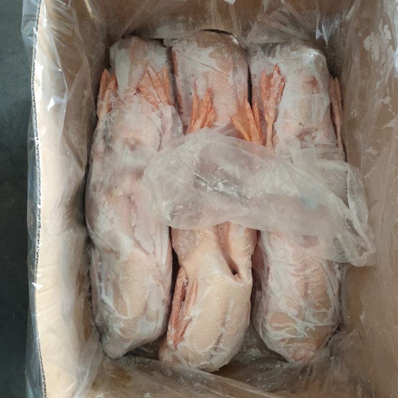 正宗纯老鹅