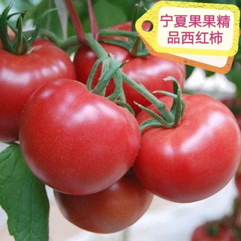 西红柿