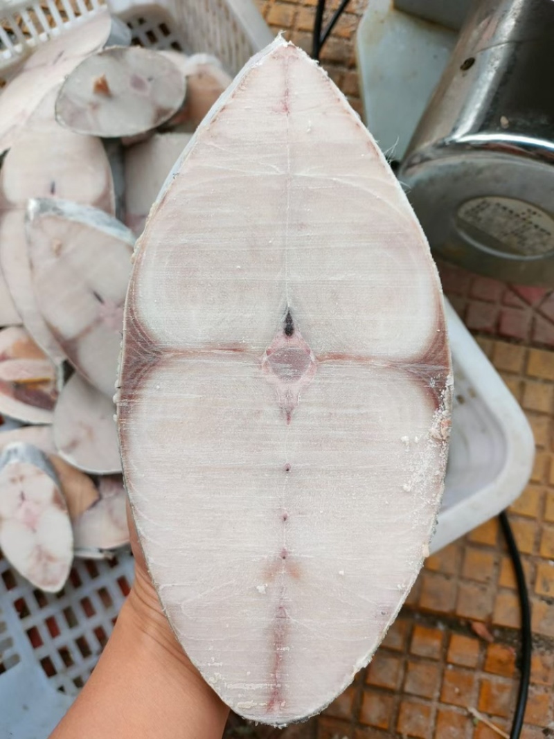 马鲛鱼片