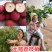 无核荔枝妃子笑荔枝苗桂味白糖罂仙进奉冰荔2颗起