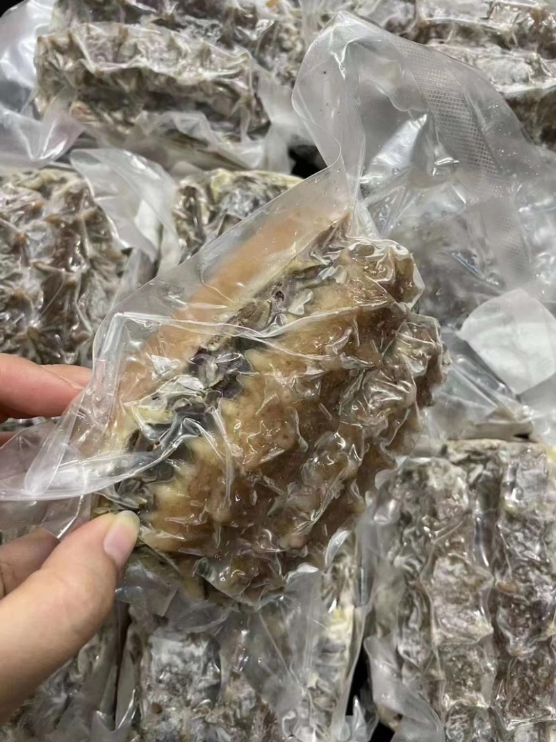 即吃海参鲍汁野米扒关东参关东海参免发海参顺丰包邮