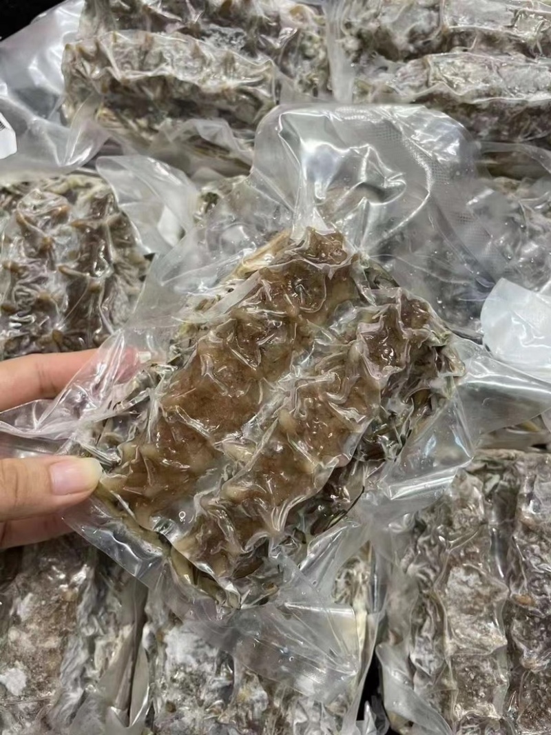 即吃海参鲍汁野米扒关东参关东海参免发海参顺丰包邮