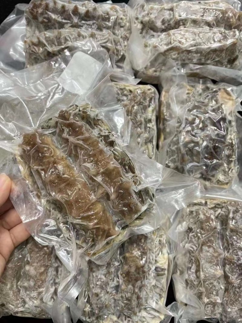 即吃海参鲍汁野米扒关东参关东海参免发海参顺丰包邮