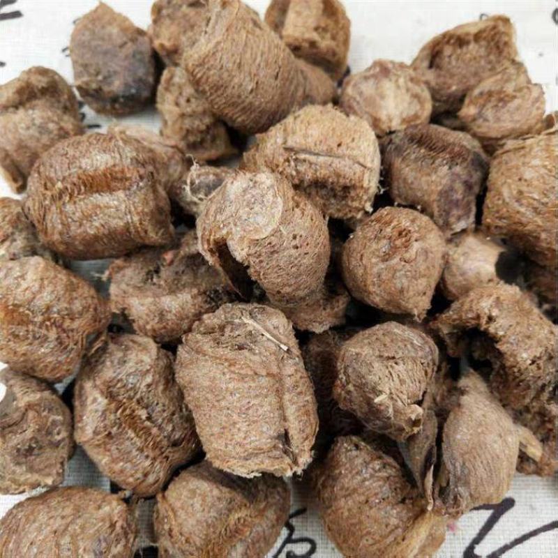 桑螵蛸干货常年经营各种中药材欢迎选购！