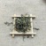冬凌草干货量大从优欢迎选购！