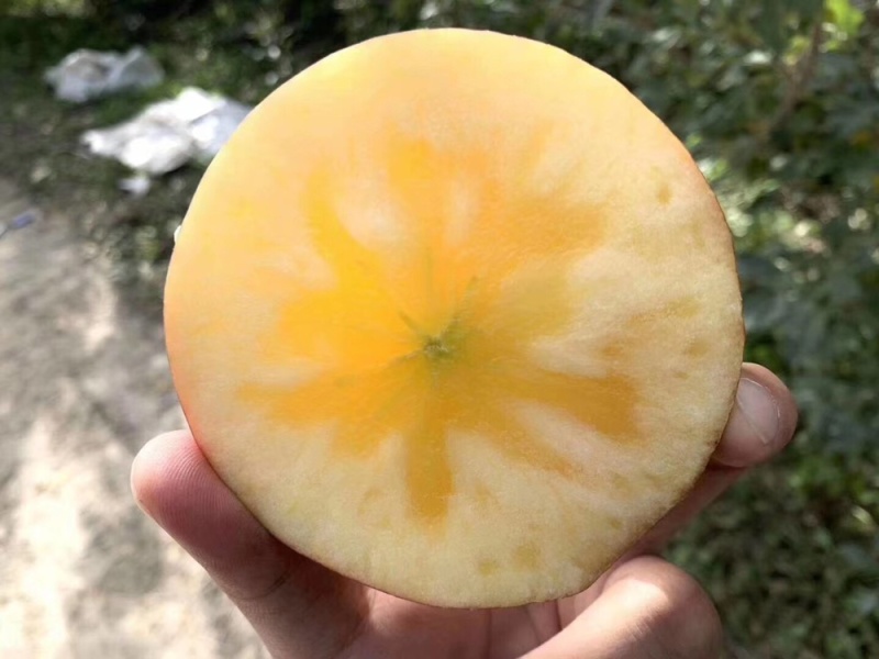💋清库处理红富士😘信誉企业，值得信赖