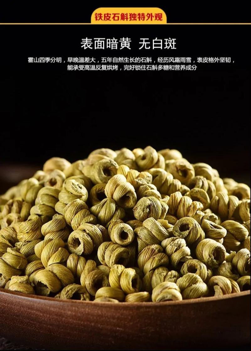 铁皮石斛苗石斛苗霍山石斛苗铁皮石斛苗米斛苗基地直发优良品