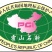 铁皮石斛苗石斛苗霍山石斛苗铁皮石斛苗米斛苗基地直发优良品