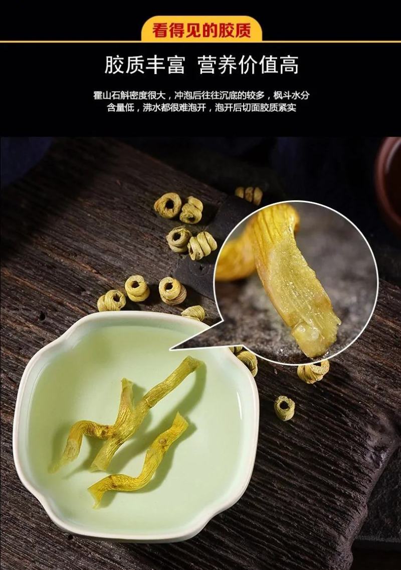 铁皮石斛苗石斛苗霍山石斛苗铁皮石斛苗米斛苗基地直发优良品