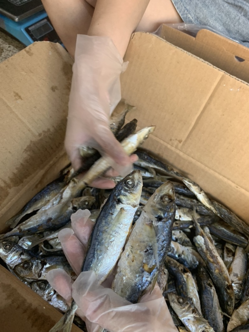 本港黄尾巴浪鱼干淡干好吃不死咸