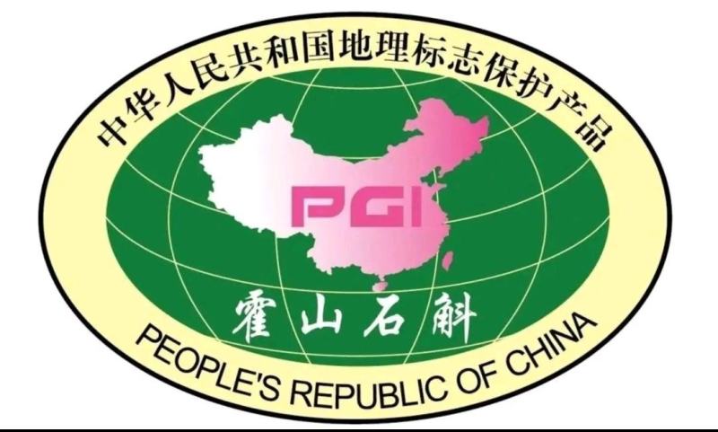 霍山铁皮石斛霍山石斛原产地霍山县太平畈乡石斛基地直发
