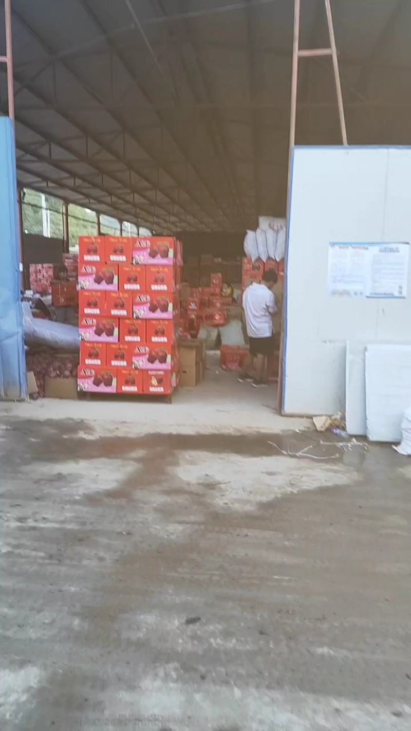 花牛蛇果代办