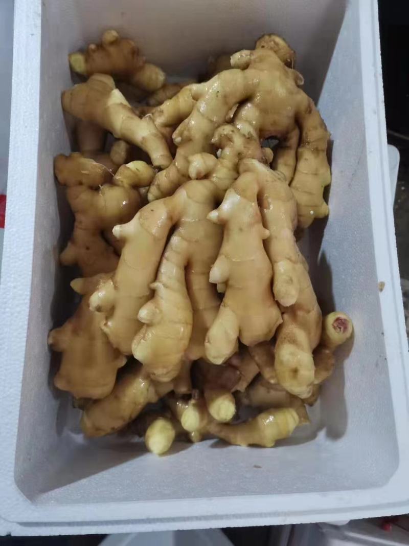 河北生姜批发产地货源充足直接保证质量，量大从优