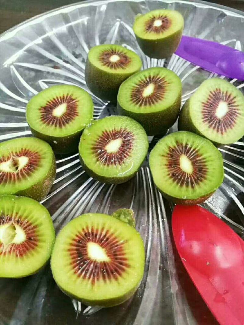 贵州红心猕猴桃，迷你小可爱