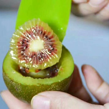 贵州红心猕猴桃，迷你小可爱