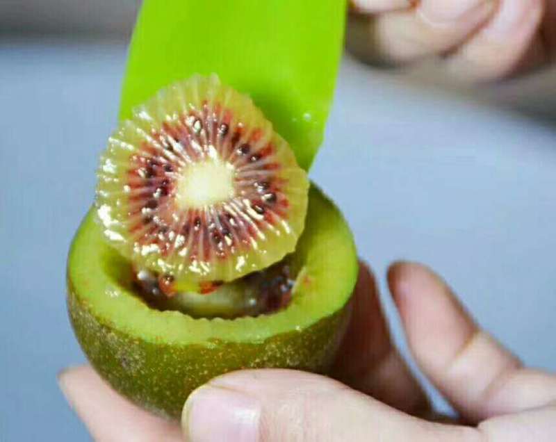 贵州红心猕猴桃，迷你小可爱