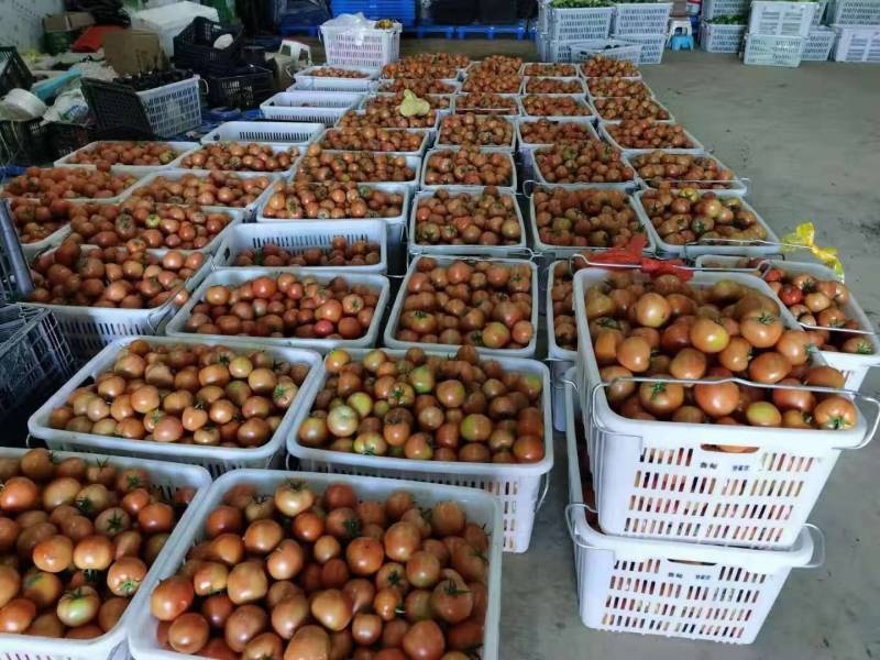塑料筐蔬菜周转筐周转箱带铁柄塑料箱价加轮子塑料大筐
