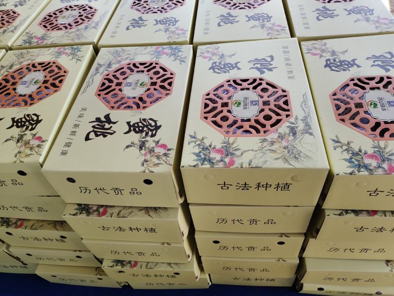 中秋礼盒深州蜜桃之乡深州刘大赛21世纪蜜桃礼盒大量供应