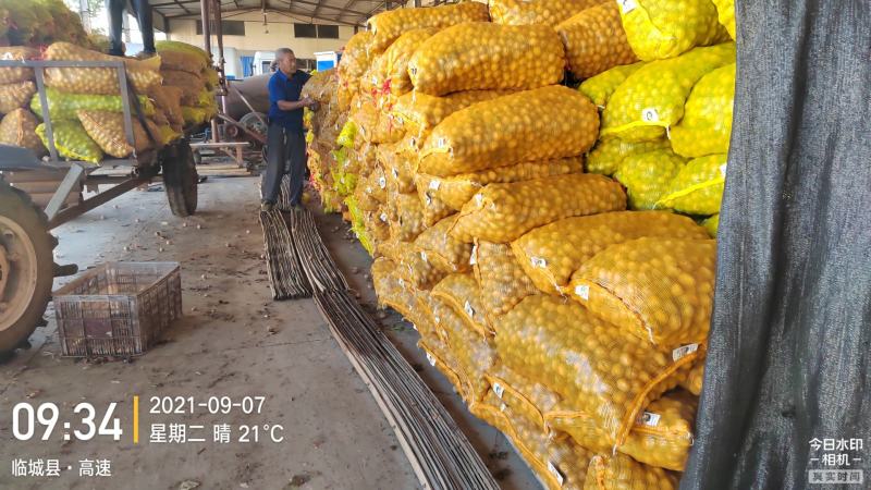 【**商超】香玲、辽系核桃，优质货源，产地直发！！