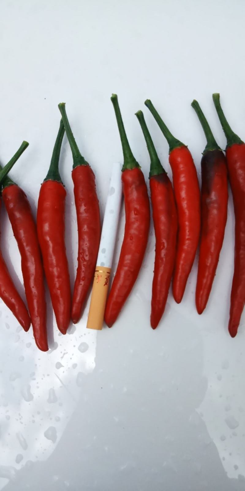 贵州艳红101。个头到品种好。烘干效果杠杠的。