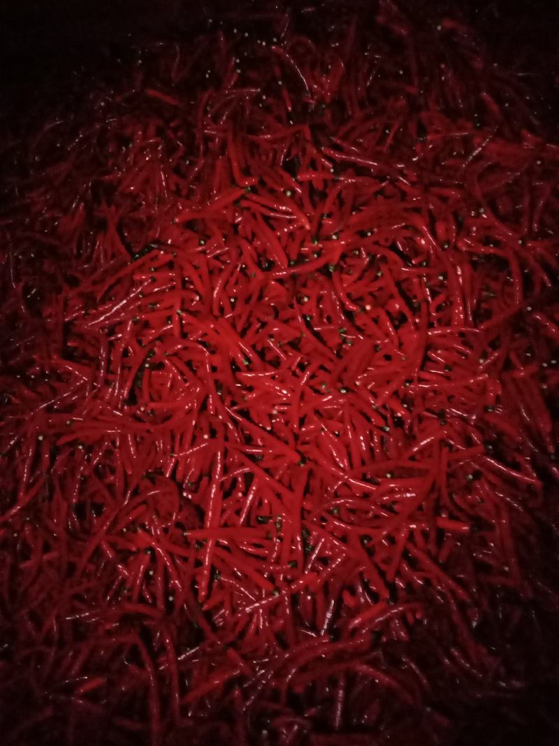 贵州艳红101。个头到品种好。烘干效果杠杠的。