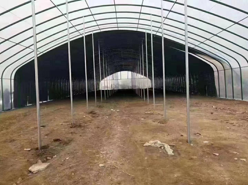 天津钢管生产厂家，养殖棚，种植棚，联动棚及配件，厂家直发
