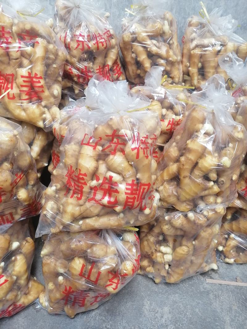 山东大黄姜水洗姜，风干姜产地直供，一手货源