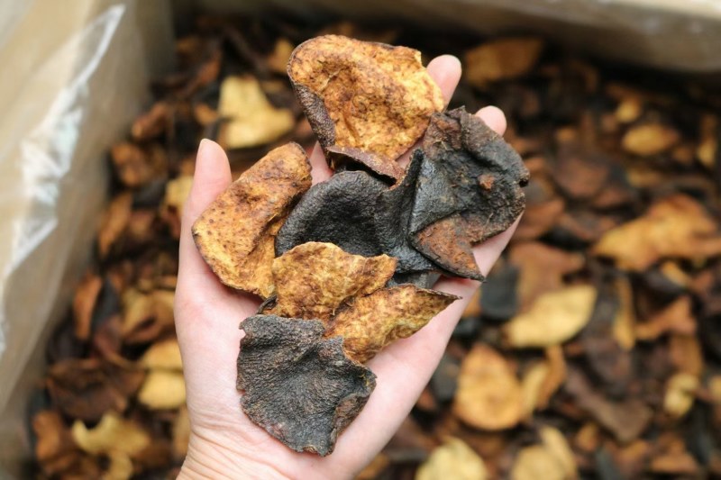 广西陈皮足干5年以上老陈皮浓郁陈皮香味性价比极高