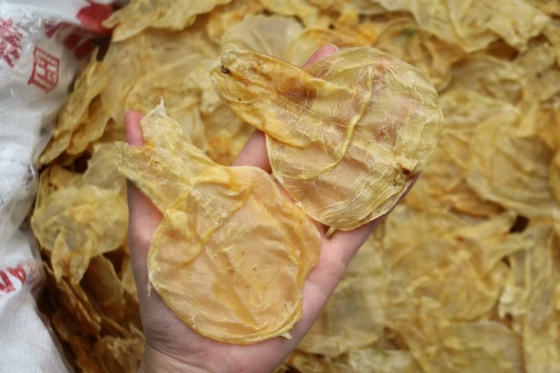 75头蜘蛛胶开边鱼胶花胶便宜肉质好产量低