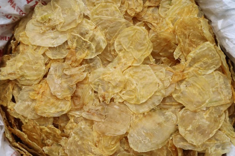 75头蜘蛛胶开边鱼胶花胶便宜肉质好产量低