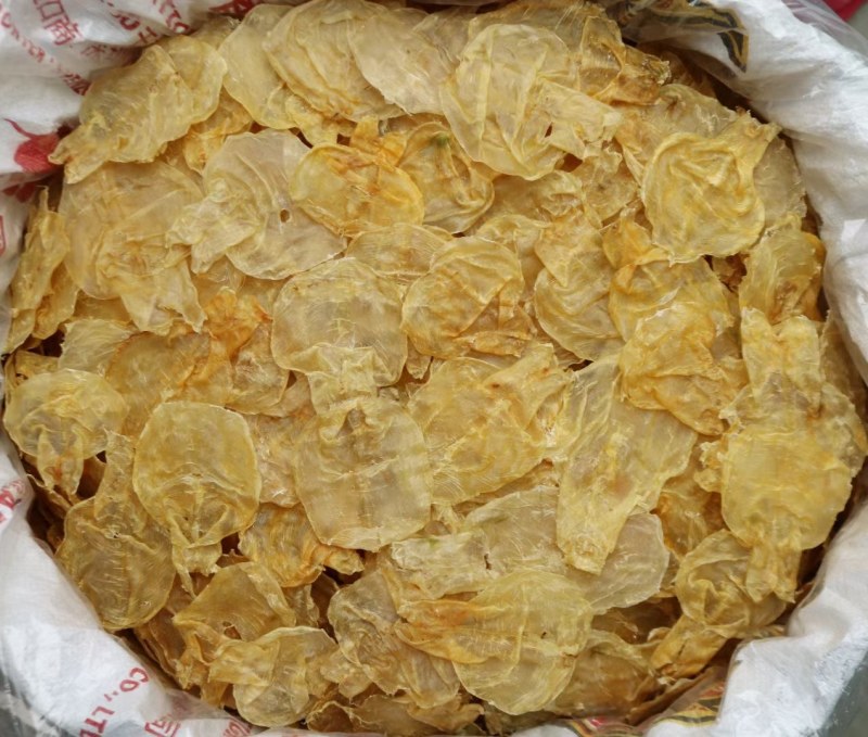 75头蜘蛛胶开边鱼胶花胶便宜肉质好产量低
