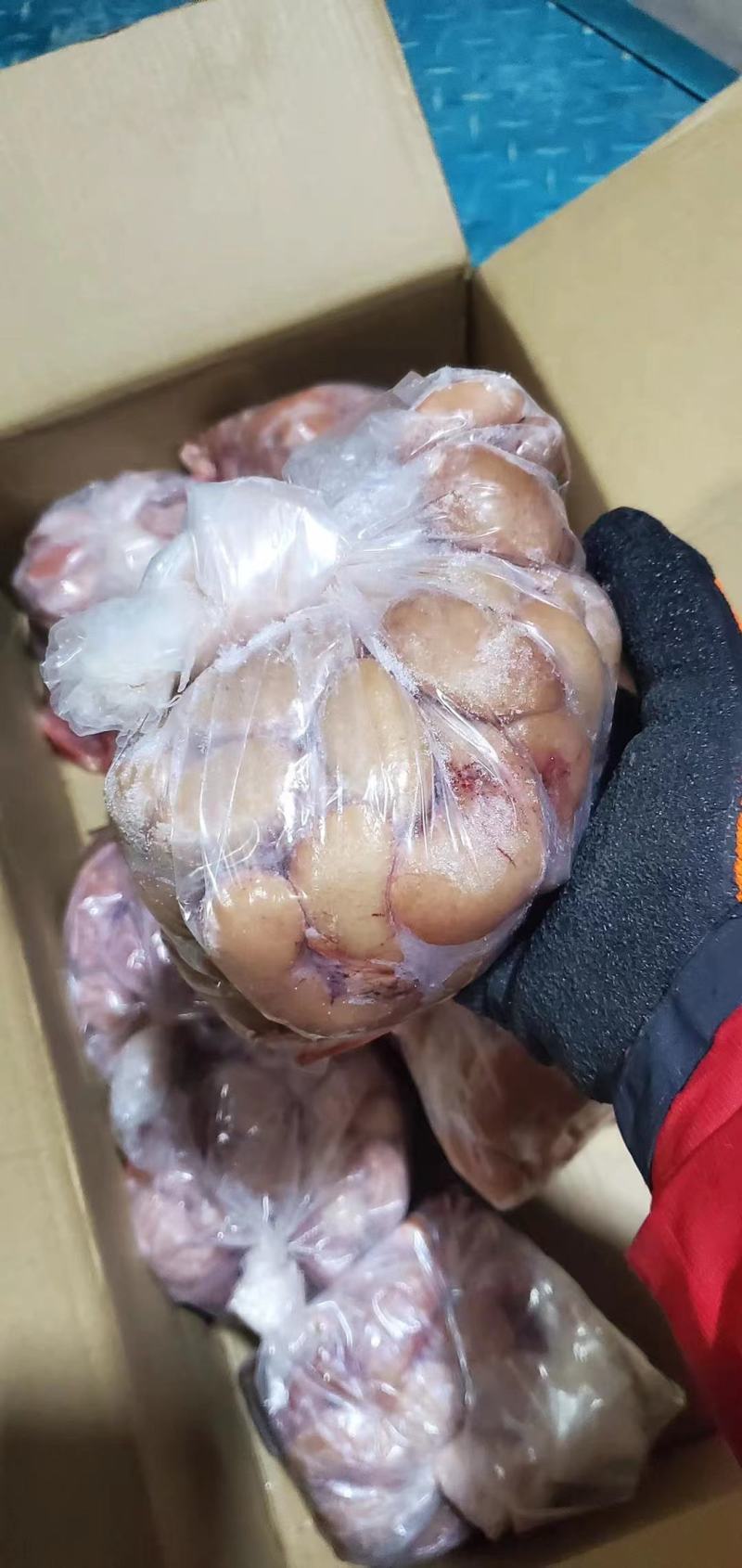 鸡腰子