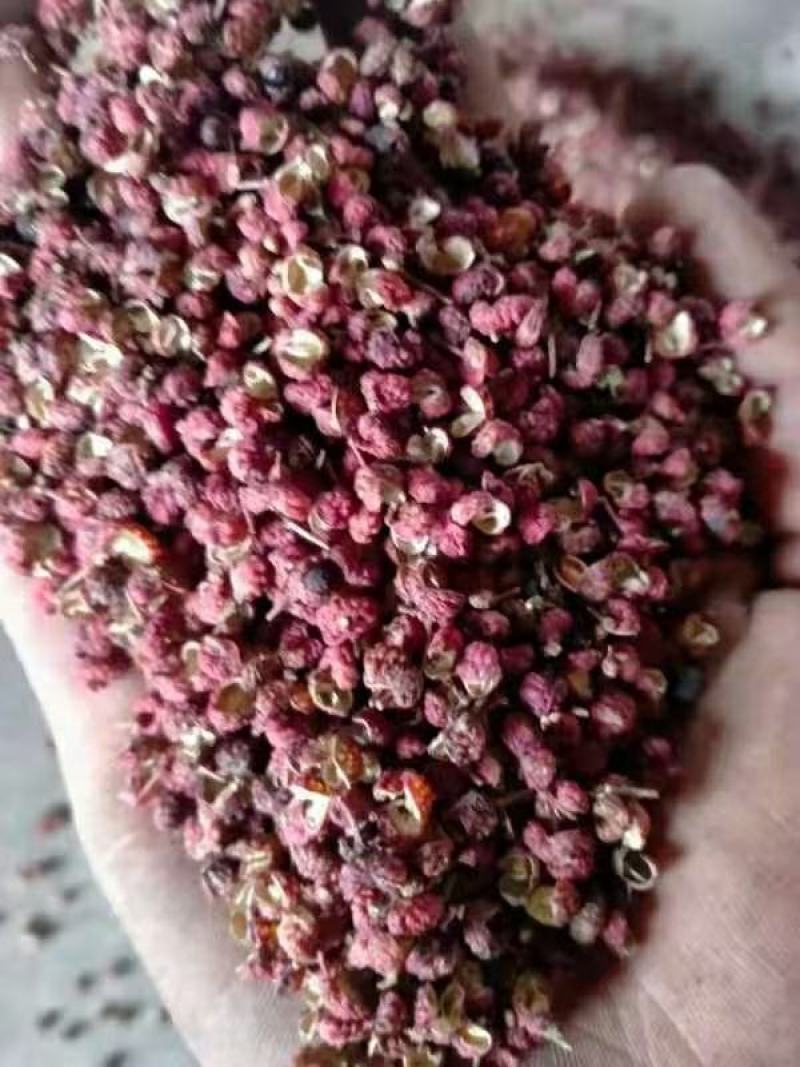 【陕西大红袍花椒火爆款来袭】花椒净货